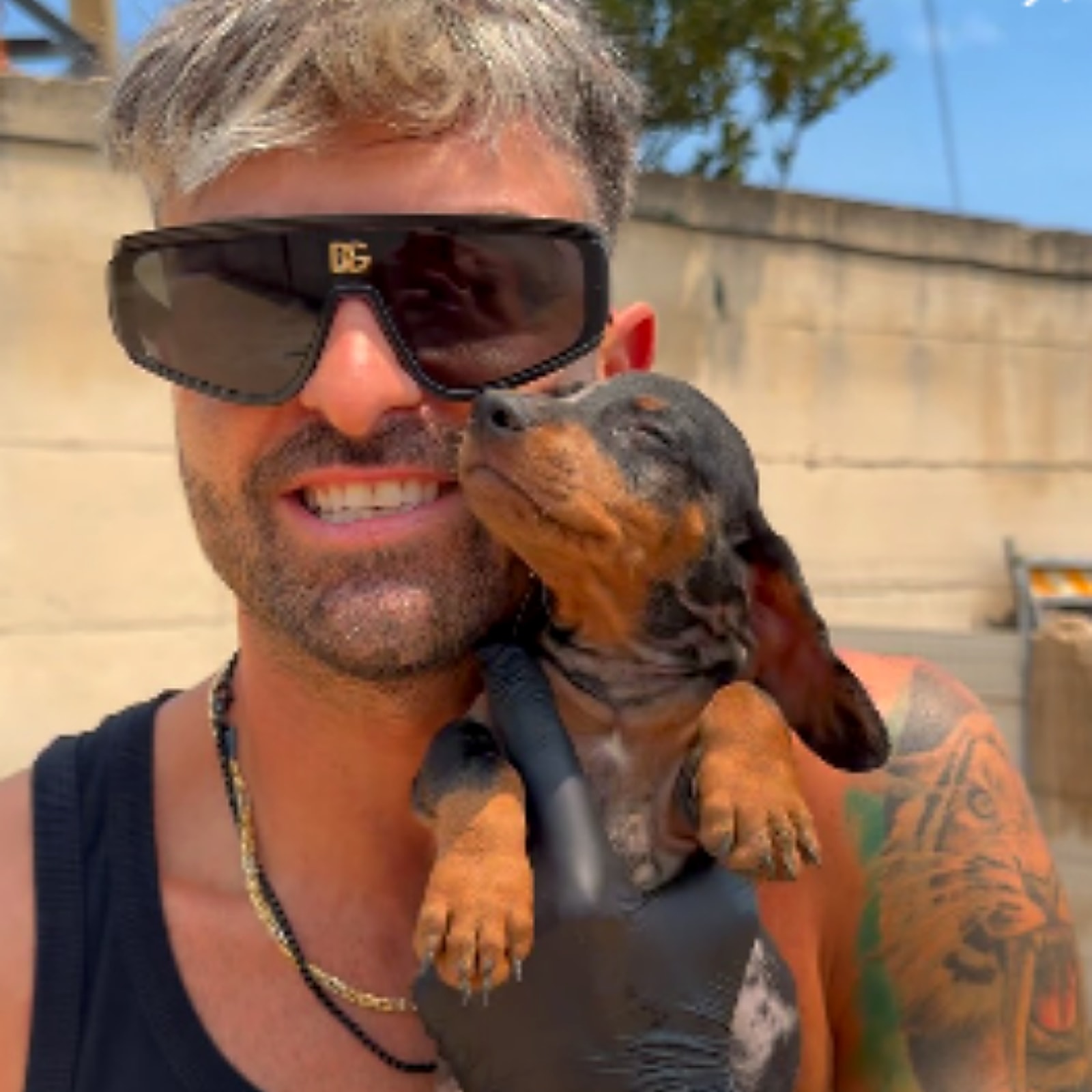 Cucciolo Bassotto